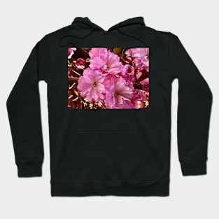 Pink Blossoms Hoodie